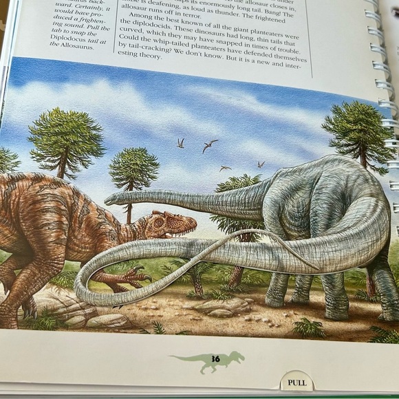 Time for Learning Dinosaurs book for Dino lovers great for beginners - Picture 6 of 10